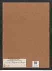 Navicula kepesii Grun. (de-Toni-Nr.: Genus 1, Species 478) Zeichnungen Sammlung Grunow Mappe 00422 (Herbarium_W_Grunow_drawings_Folder_00422)